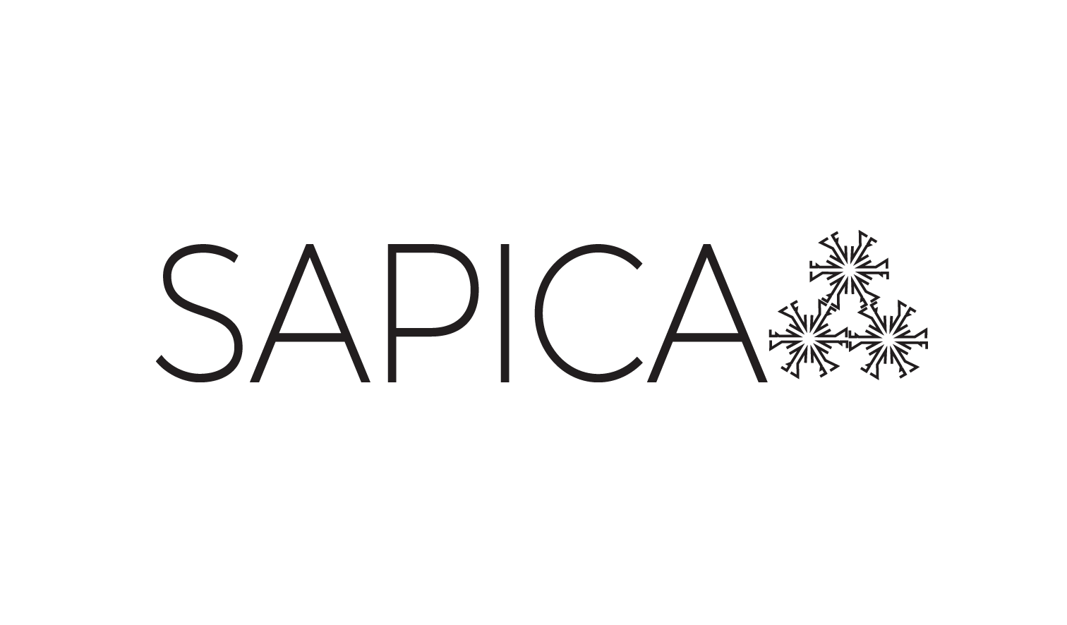 LOGO-SAPICA-SMALL-1