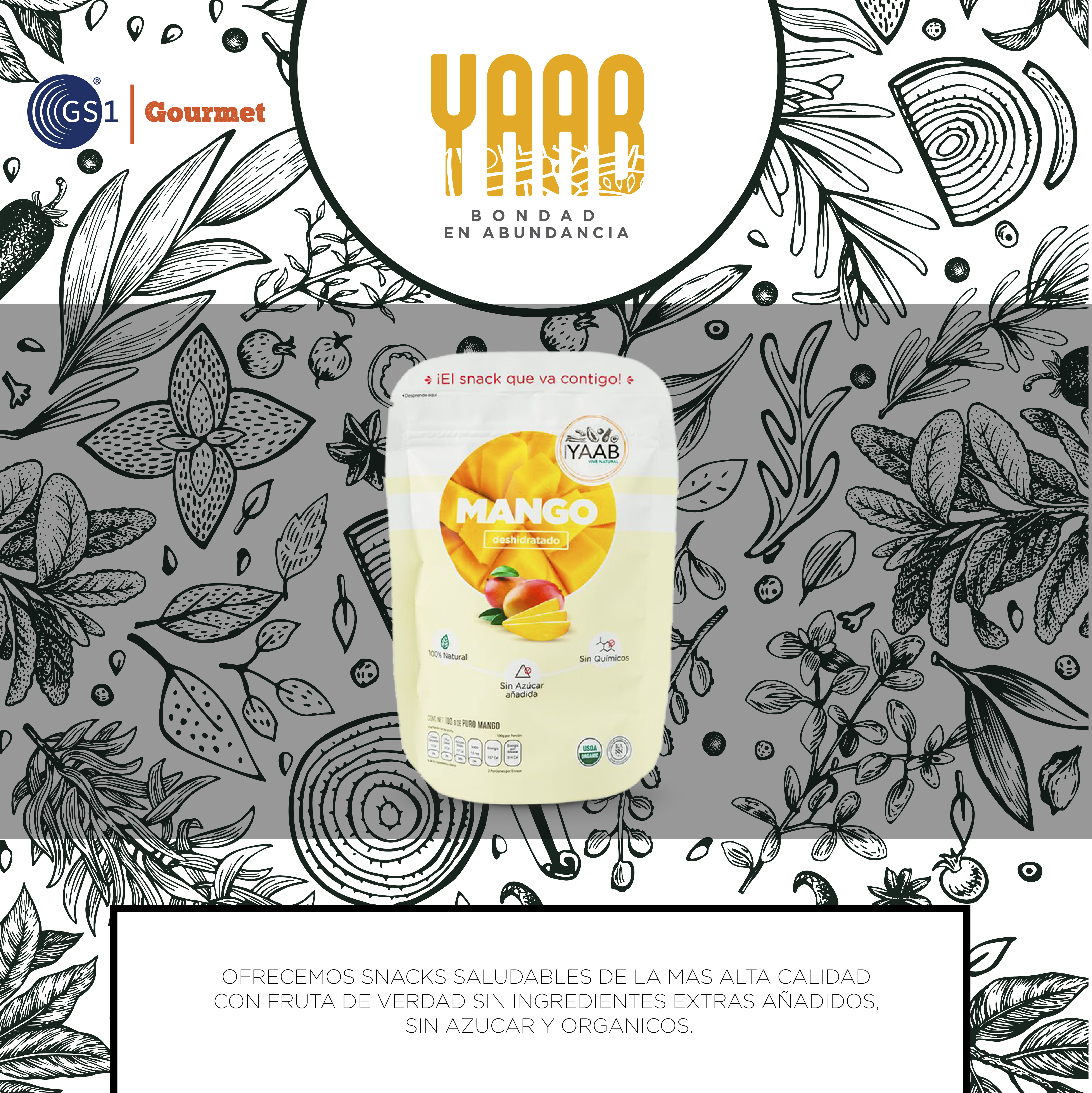 Botanas saludables YAAB