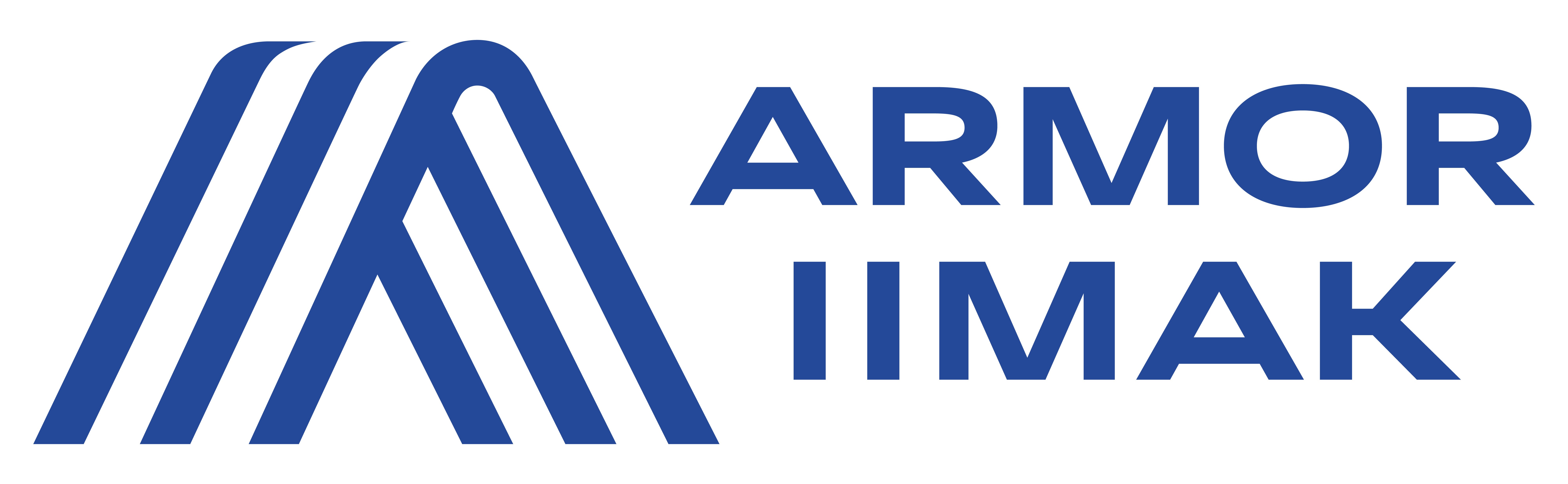 Logo ARMOR IIMAK